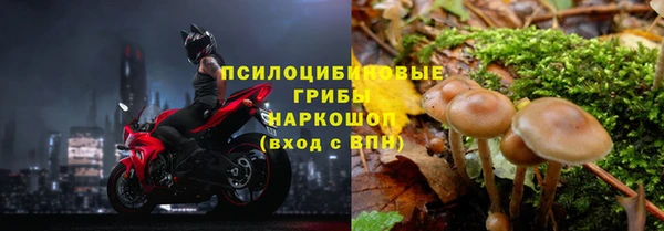 кокс Козловка